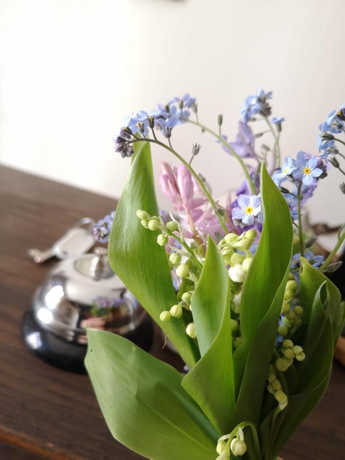 La Maison D'Hotte Revin  外观 照片